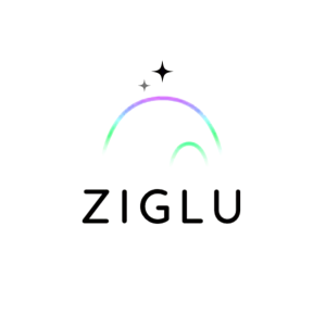 Critical Systems Reconciliation for Ziglu